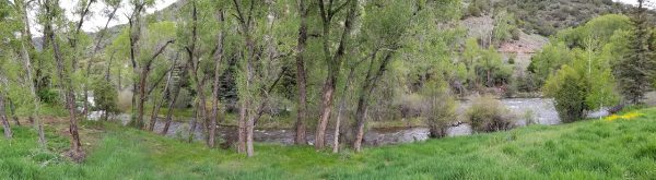 Lush land on river, near Aspen.