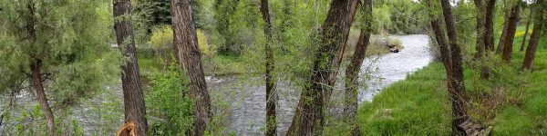 Roaring Fork River.